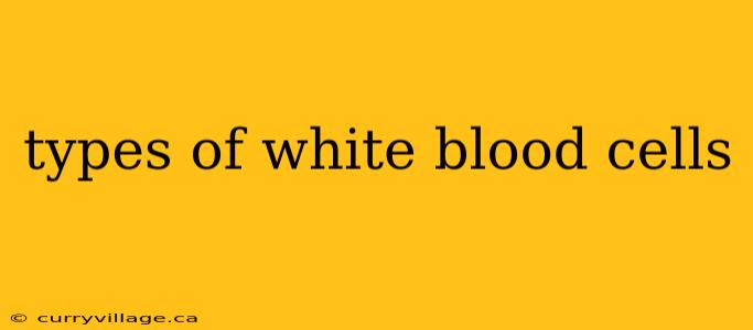 types of white blood cells