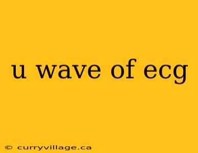 u wave of ecg