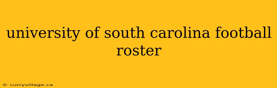 university of south carolina football roster