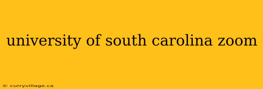 university of south carolina zoom