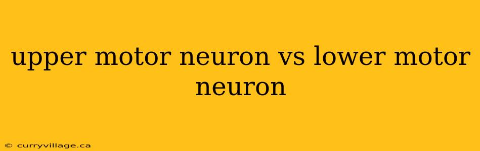 upper motor neuron vs lower motor neuron