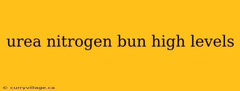 urea nitrogen bun high levels