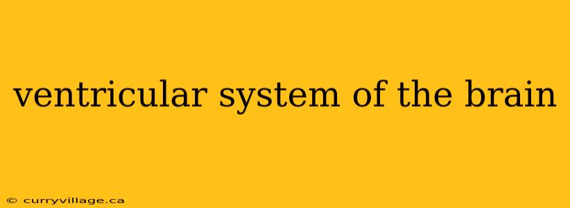 ventricular system of the brain
