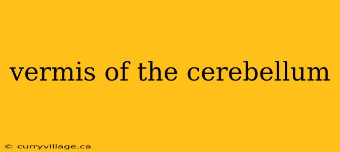 vermis of the cerebellum