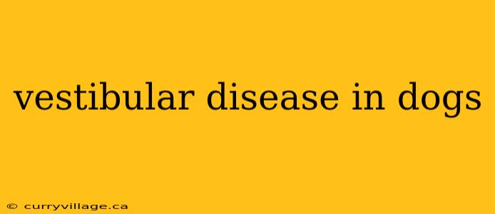 vestibular disease in dogs