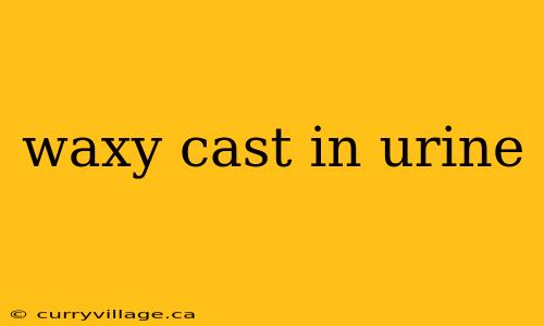 waxy cast in urine