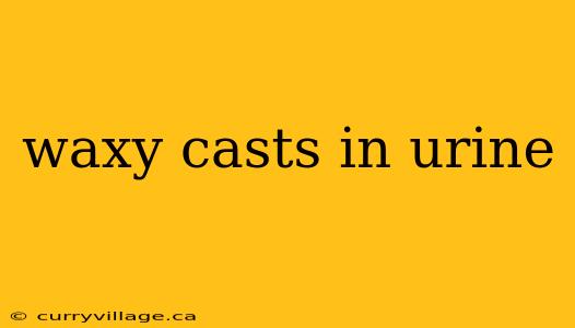waxy casts in urine