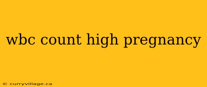 wbc count high pregnancy