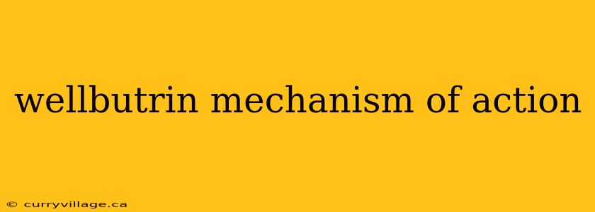 wellbutrin mechanism of action