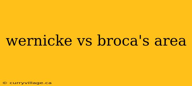 wernicke vs broca's area