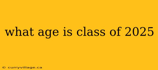 what age is class of 2025