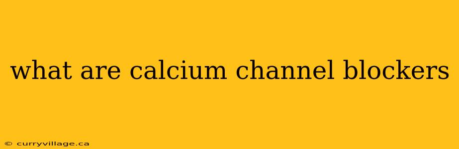 what are calcium channel blockers