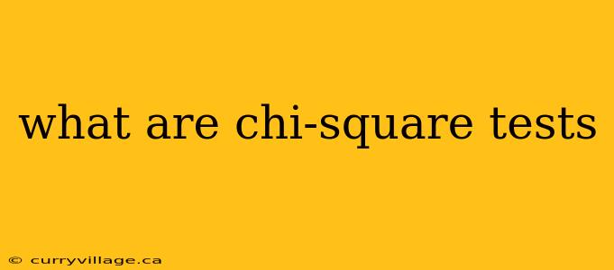 what are chi-square tests