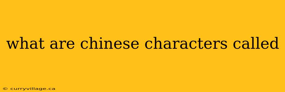 what are chinese characters called