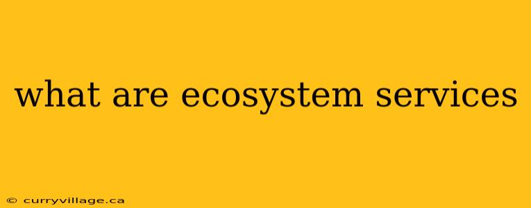 what are ecosystem services