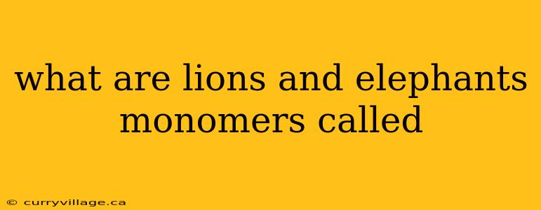 what are lions and elephants monomers called