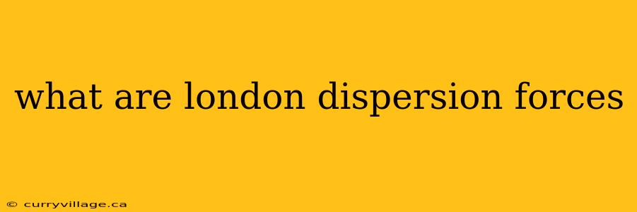 what are london dispersion forces
