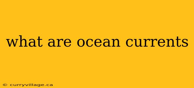 what are ocean currents