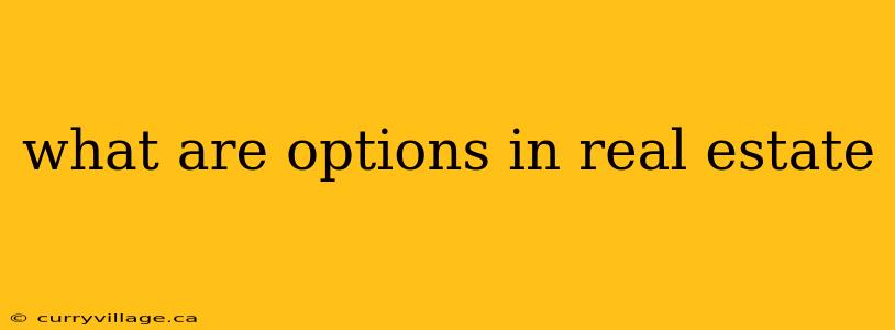 what are options in real estate