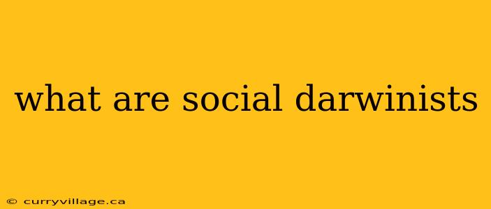 what are social darwinists