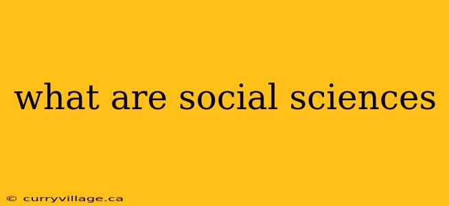 what are social sciences