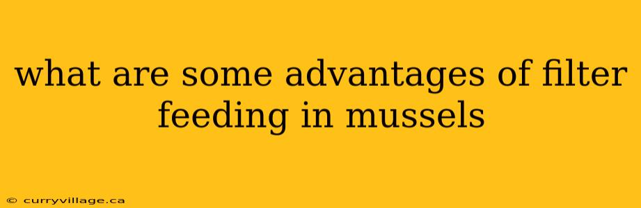 what are some advantages of filter feeding in mussels