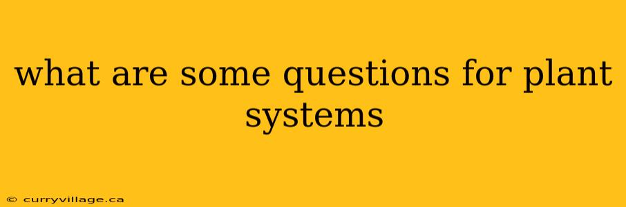 what are some questions for plant systems