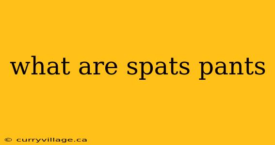 what are spats pants