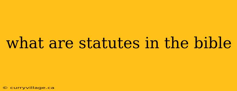 what are statutes in the bible
