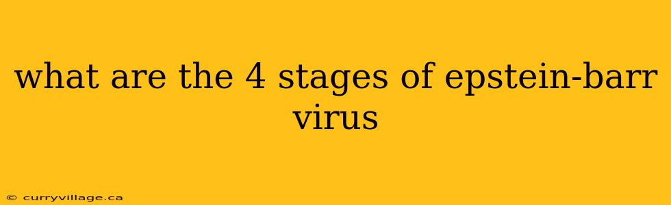 what are the 4 stages of epstein-barr virus