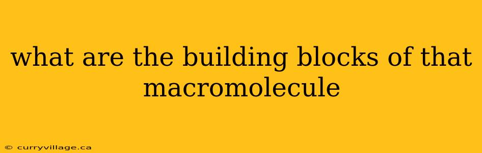 what are the building blocks of that macromolecule