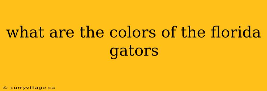 what are the colors of the florida gators
