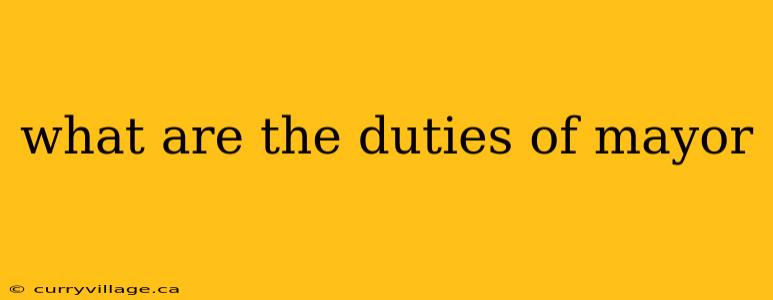 what are the duties of mayor