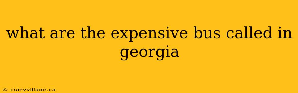 what are the expensive bus called in georgia