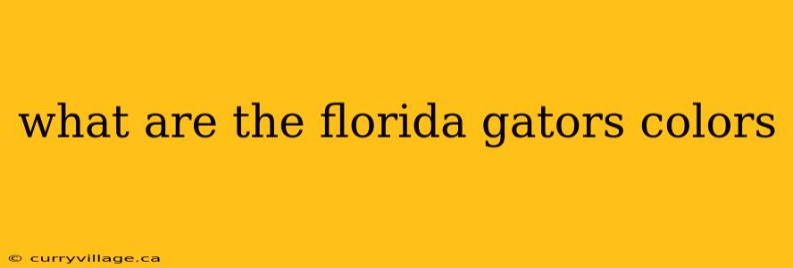 what are the florida gators colors