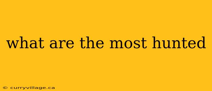 what are the most hunted