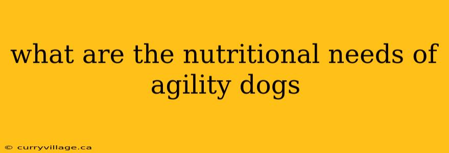 what are the nutritional needs of agility dogs
