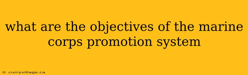 what are the objectives of the marine corps promotion system