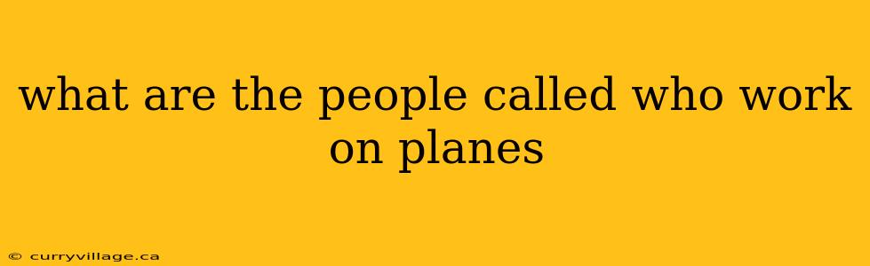 what are the people called who work on planes