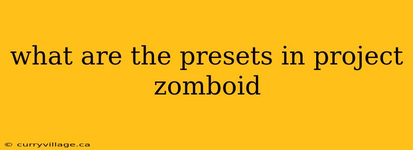 what are the presets in project zomboid