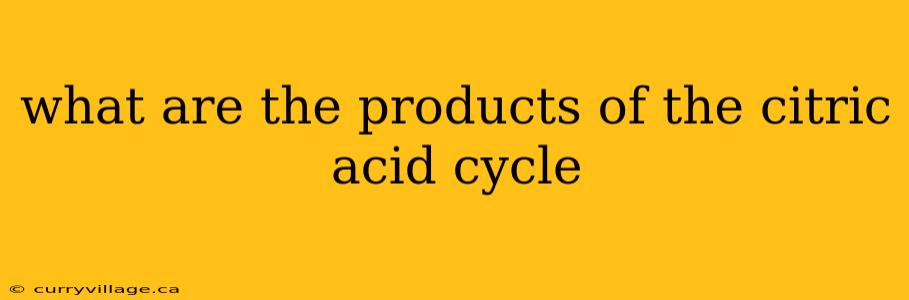 what are the products of the citric acid cycle