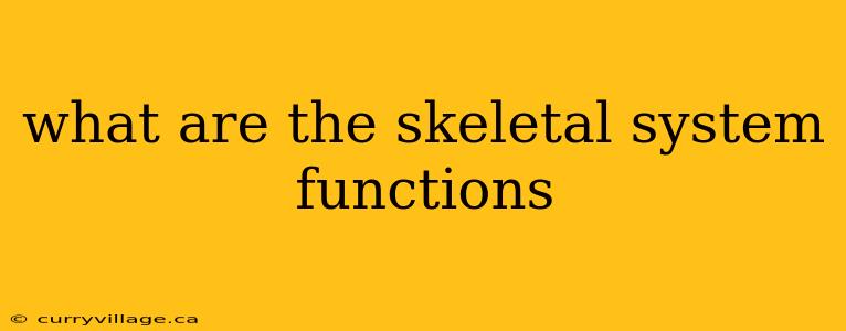 what are the skeletal system functions