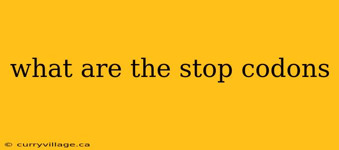 what are the stop codons