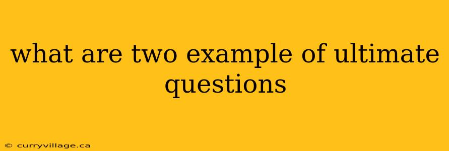 what are two example of ultimate questions
