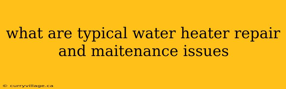 what are typical water heater repair and maitenance issues