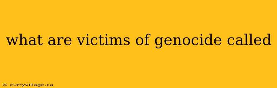 what are victims of genocide called