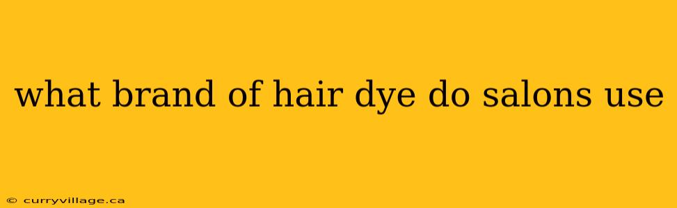 what brand of hair dye do salons use
