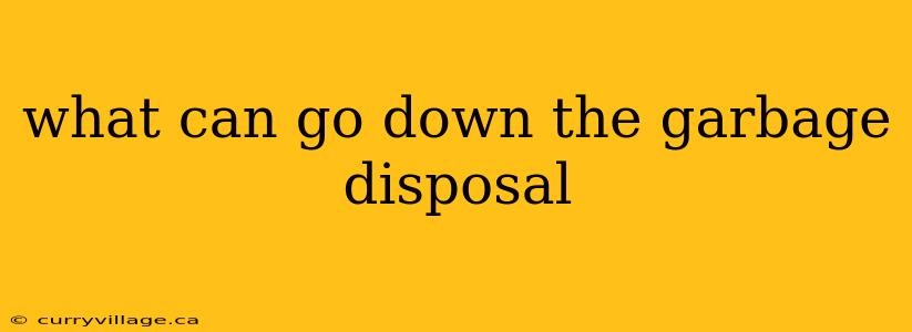 what can go down the garbage disposal