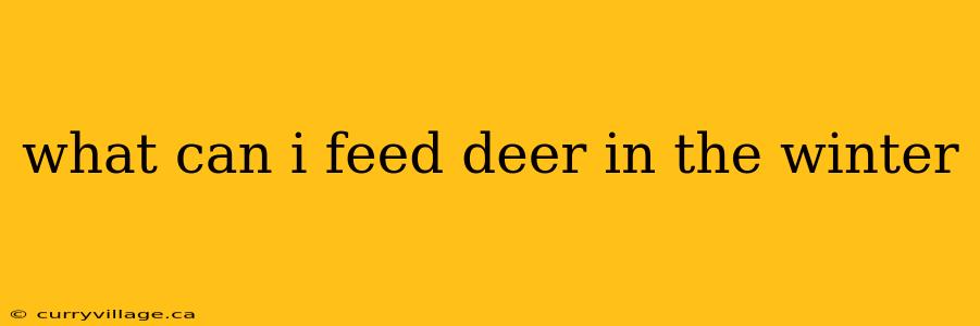 what can i feed deer in the winter