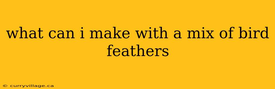 what can i make with a mix of bird feathers